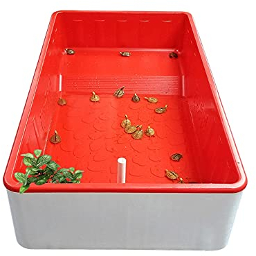 luckxuan Aquarium Schildkröten/Aquarien Große Luxus ökologische Schildkröte Tank Schildkrötenkastenschildkröte Zuchtschildkrötenfreund ökologischer Tank Terrarium Schildkröte