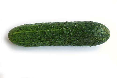 Graines Concombre vert long anglais épineux - sachet de 105 graines - Cucumis/sativus/Cucurbitaceae - Graines de style