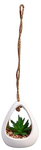 MAGICLULU realistische künstliche Sukkulenten Luft Sukkulentenhalter Wohnkultur Ornament Dekor Mikrolandschaftsverzierung Haushalt Sukkulente Pflanzen kleines Geschenk schmücken