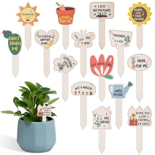 15pz Divertenti Etichette Piante Legno, Segnali Giardino Impermeabili Cartellini Nome Giardino Picchetti Piante Grasse Fiori Piante Verdi Marcatori Piante Regali per Gli Amanti Delle Piante
