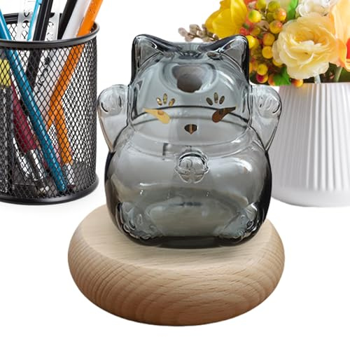 Demsyeq Clear Glass Coin Bank - Decorative Money Saving Bank | Clear Gold Bean Container, Cat Shape Saving Jar for Bookshelf Display Stand Wishing Star
