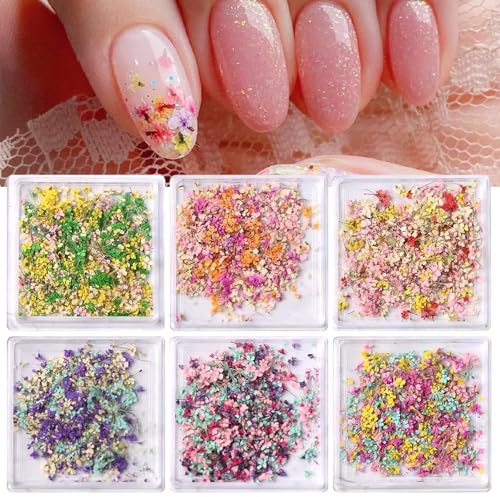 Calkkrer 6 Box Getrocknete Blumen, 3D Getrocknete Blumen für Nägel, Frühlingsblumen Nagelkunst Aufkleber für Harzhandwerk Bunte kleine natürliche Florale.