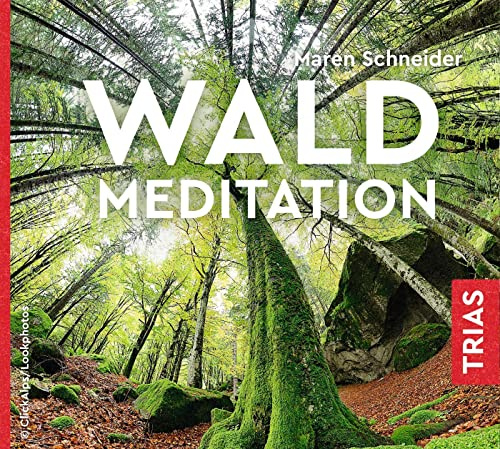 Waldmeditation (TRIAS Übungen)