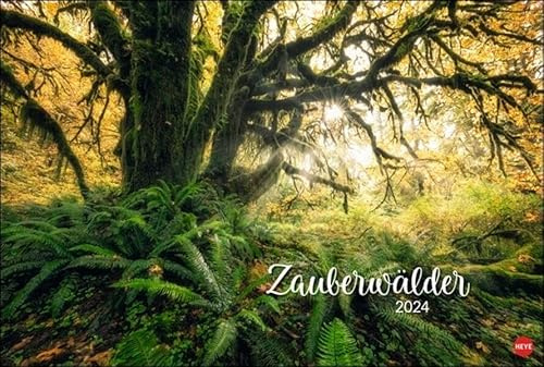 Zauberwälder Edition Kalender 2024. Wandkalender XL mit Fotos verwunschener Wälder und Lichtungen. Kalender-Großformat mit hochwertigen und geheimnisvollen Fotos.