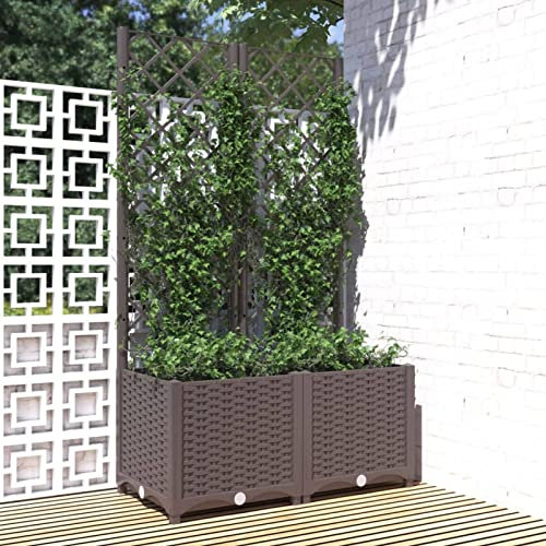 Festnight Jardinera con Celosia Macetero con Enrejado Jardinera Rectangular Macetas jardín Plantas Rosas balcón jardinería Interior Exterior 80 x 40 x 136 cm Marrón