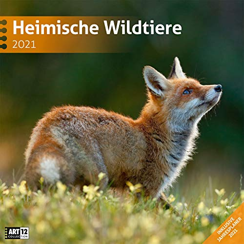 Heimische Wildtiere Kalender 2021 - 30x30