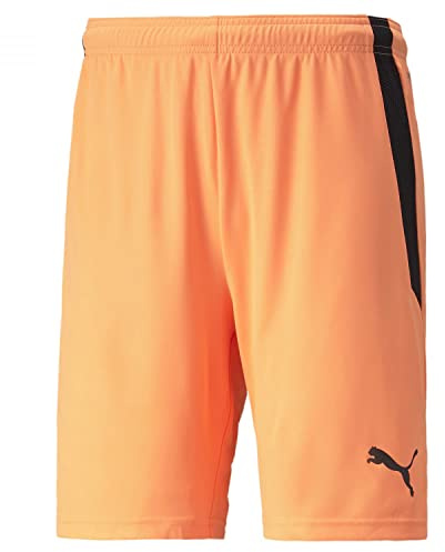 PUMA Herren Shorts, ,