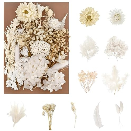 jatimdotin Fiori Secchi Naturali, Fiori Secchi Decorativi, Fiori Secchi Artigianato per Scrapbooking Candele Resina Carta Nozze Decorazione (Bianco)