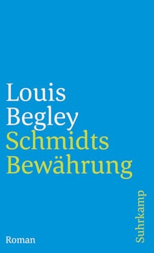 Schmidts Bewährung. Roman