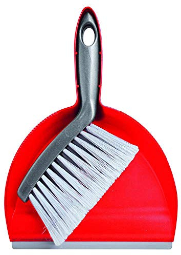 PIPPO Mini Paletta con Scopino