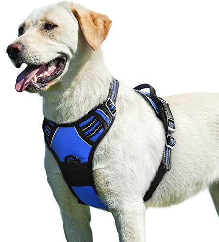 Eagloo Hundegeschirr Grosse Hunde, Anti Zieh Verstellbare mit 2 Clips | Anti Würg, Weich gepolstert, Reflektierend, Sichere Schnallen und Einfacher Haltegriff für Spaziergänge, L, Blau