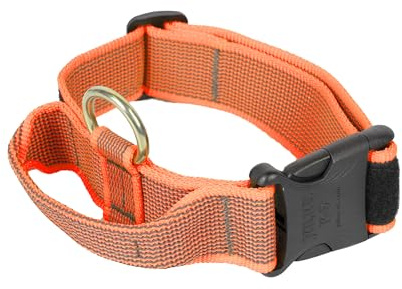 Collar Color & Gray con la manija, la cerradura de seguridad y el remiendo intercambiables, 40 mm (38-53 cm), naranja-Gris