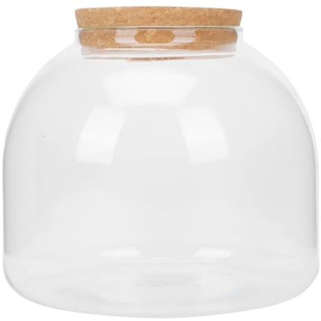 Tofficu Microlandscape Bottle Terrarium Glass Jar for Diy Plant Display Ecological Bottle for Moss Stones and Vase Fillers Decorative for Living Room Bedroom or Bathroom