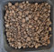 AlmaStore Argilla Espansa per Piante in Vaso | Pacciamante e Drenante per vasi e Fiori | 3 Litri - 5 Litri - 10 Litri (10 Litri)