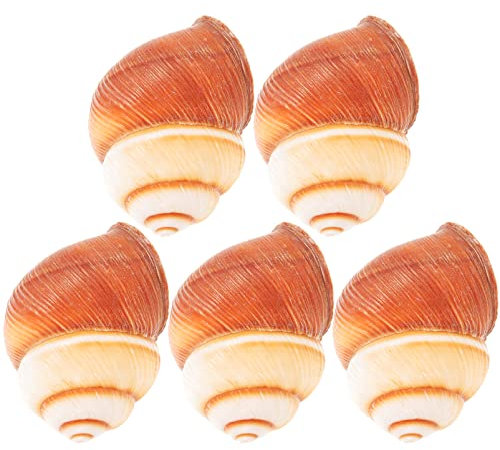 Toddmomy 5pezzi Gusci Di Lumaca Naturali Per Ristoranti Gusci Di Escargot Perfetti Per Cottura e Presentazione Di Antipasti Francesi