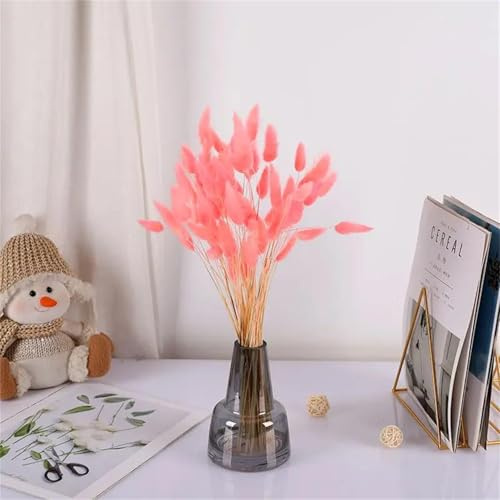 WANYI 60 Stück 43CM Trockenblumen Hasenschwänze Pampasgras Deko Natürliche Boho Trockenblumenstrauß Bunny Tails Getrocknete Blumen für Tischdeko Hochzeitdeko Wohnzimmer Schlafzimmer (Rosa)