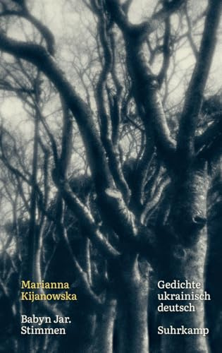 Babyn Jar. Stimmen: Gedichte. Ukrainisch und deutsch | Eines der wichtigsten Bücher der ukrainischen Gegenwartsliteratur