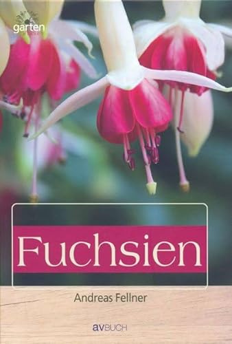 Fuchsien: Aufzucht und Pflege