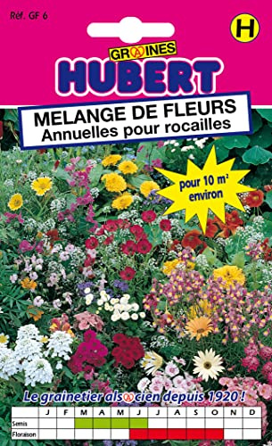 Mélange de Graines de Fleurs Pour Rocailles Pour 10 m² - 12 grammes