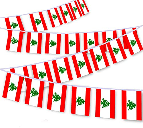 Lot de 30 guirlandes de drapeaux libanais de 9 m, bannière de décoration pour extérieur, intérieur, patio, cour
