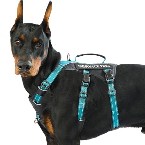 Huntboo Hundegeschirr Grosse Hunde, Sicherheitsgeschirr Hund Ausbruchsicher mit 6 Patches, Service Geschirr Hund mit Griff, Anti Zug Hundegeschirr, Verstellbar, 2 D-Ringe, Reflektierend (Petrol,L)