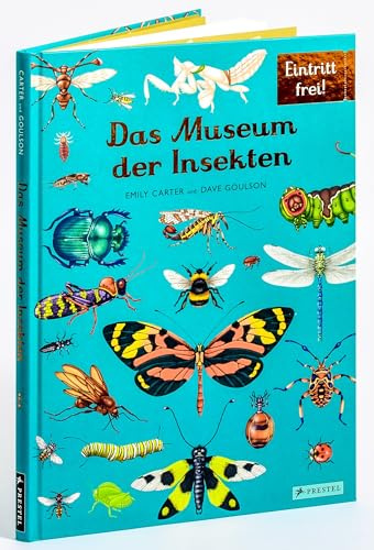 Das Museum der Insekten: Eintritt frei! - Sachbilderbuch im Großformat für Kinder ab 8 Jahren mit faszinierenden Illustrationen von Emily Carter (Eintritt frei! Komm mit ins Museum, Band 16)