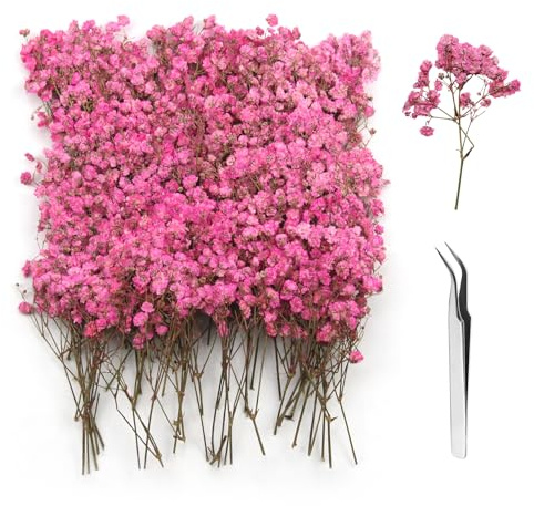 GZGXKJ 120 Stück Schleierkraut, Rosa Getrocknetes Schleierkraut Trockenblumen zum Basteln Klein Trockenblumen Deko Kann mit Pinzette für Kerzen, Fotorahmen und Anderen Heimwerkerarbeiten