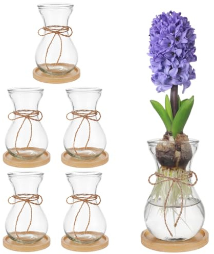 BENECREAT 6 Pcs Lamp Glass Vases for Flowers Forcing Hyacinth Avocado, Clear Decorative Lamp Vase with Round Coaster for Lovers Home Office Table Decoration