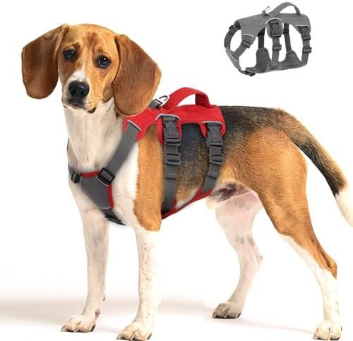 Beirui Ausbruchsicheres Hundegeschirr für Kleine, Mittelgroße und Große Hunde - Reflektierend, Kein Ziehen, Mit Gepolstertem Griff, Wasserdicht für Tägliches Training