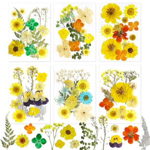 72 stycken pressade torkade blommor Naturliga torkade blommor Harts-kompatibla torkade blommor Lämpliga för DIY-ljus, mobilskal, fotoramar och tvåltillverkning
