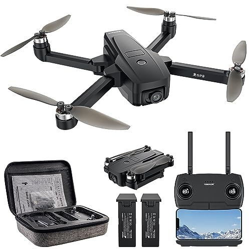 TEEROK T18S GPS Drones with Cameras for Adults 4K, Brushless Motor Drone with Follow Me, Auto Return Home, RC Quadcopter with Optical Flow Position, Black