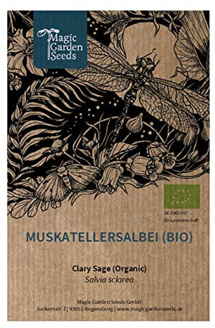 Erba moscatella (Salvia sclarea) biologica - circa 50 semi