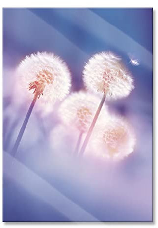 Pixxprint Glasbild, Wandbild aus Echtglas, Pusteblumen im morgendlichen Wind, 60x80 cm, inkl. Aufhängung und Abstandshalter