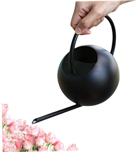 vapore esterno, vapore interno Annaffiatoio con beccuccio lungo da 400 ml con manico alto Annaffiatoio piccolo in acciaio inossidabile piante