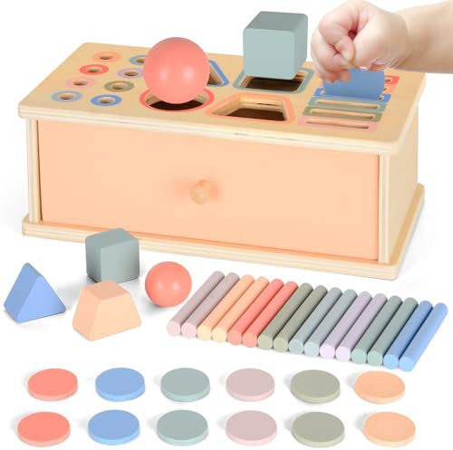 Montessori Toys for 1+ Year Old, Color Sorting Toys for Toddlers, Shape Sorter Educational Learning Toy Sensory Wooden Toy for 1 2 3 Years Old, Baby Fine Motor Skills Toys Gifts for Kids Age 1-3