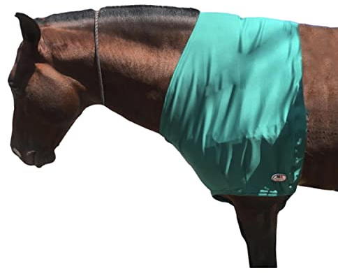 Majestic Ally Lycra stretch häst axelskydd (stor, turkos)