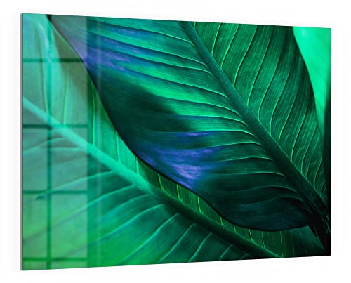 DEQORI Glas-Magnettafel | 120x90 cm groß | Motiv Tropenblattstruktur | Memo-Board aus Glas | Magnetboard inkl. Magnete, Stift & Tuch für Küche & Büro | Tafel magnetisch & beschreibbar