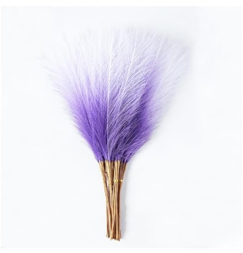CHUYIX Erba della pampa secca, 5 pezzi, erba della pampa naturale, secca, decorazione per matrimoni, camera da letto, decorazione da tavolo