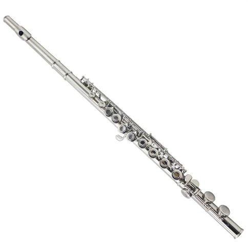 Schülerflöte Linkshänder-Flöte Mit 16 Löchern In C-Taste, Geschlossene Löcher, Vernickelte Rückhand, Professionelles Holzblasinstrument