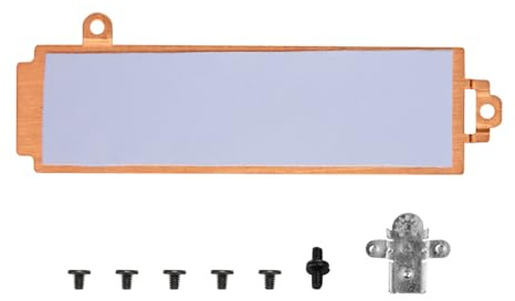M.2 2280 SSD dissipatore di calore per computer portatile, in rame con supporto, copertura dissipatore di calore per Alienware M15 R5 R6 G15 5510 5511