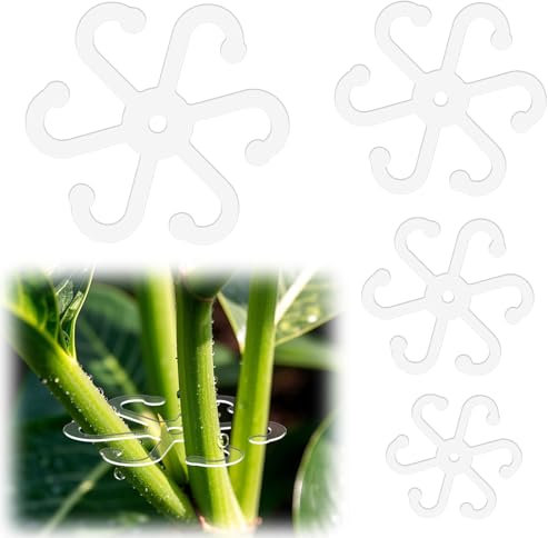 BOXOB 4pcs Plant Stem Support, Plant Stem Holder with Holes Acrylic Plant Trellis Monstera Plant Support Leaf Holder and Climbing Rack for Indoor & Outdoor Houseplants (4 Sizes, Transparent)