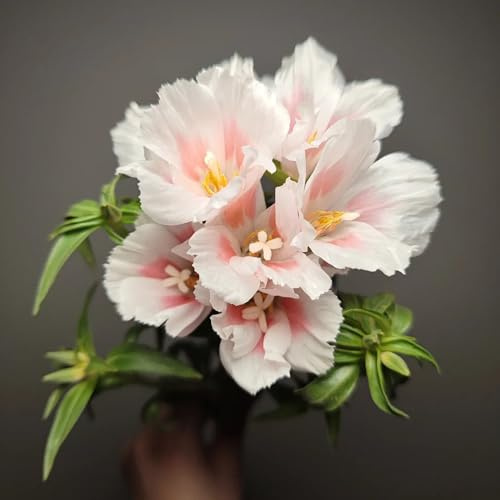 Semillas de azalea de verano, semillas de decoración de sala de estar semillas de silvestres raras 300pcs