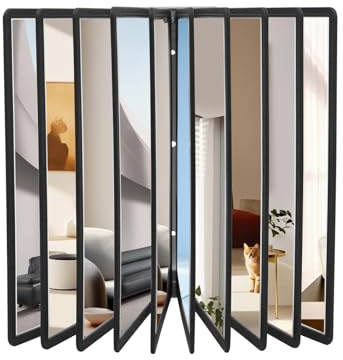 Fyssnn Magnetisches Wand Sichttafelsystem mit 10 Sichttafeln A4 und 20 Seiten Kapazität - Transparentes Dokumentenhalter für Büro, Restaurants, Ausstellungen (Schwarz)
