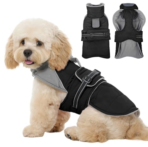 Kuoser Hundemantel Winter Wasserdicht, Warmer Wintermantel Hund, Schwarz M | Hundemantel für kleine Hunde Winddicht,Hundejacke Winter mit elastischem Hals, Reflektierender Hunde Wintermantel Winterjacke