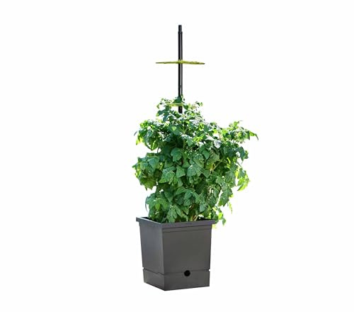 Romberg Tomatentopf mit Selbstbewässerung und Rankhilfe - Recycelter Kunststoff, 17L Pflanztopf, Ideal für Tomaten, Chili und Paprika, Made in Germany