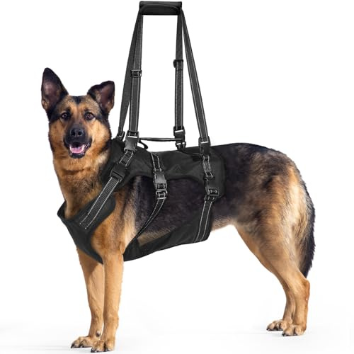BENCMATE 2-in-1 Hundegeschirr abnehmbare Hebeschlinge Hebegeschirr alte Hunde Reha OP verstellbares Brustgeschirr große Hunde bis 45 kg atmungsaktiv reflektierende Nähte Schwarz XL