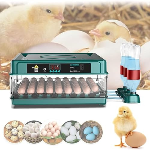Incubadora Huevos Gallina, Incubadora Automática de 24-36 Huevos, Incubadora Totalmente Automática con Control de Temperatura, Indicador de Humedad, Volteador Automático de huevos - Verde (36 Huevos)