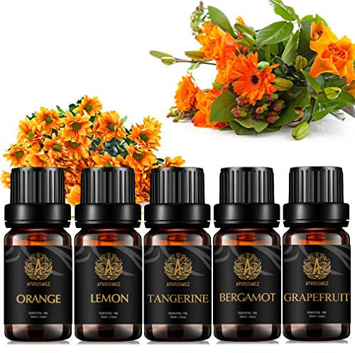 100% reines Bergamotte ätherisches Öl Kit für Diffusor, Aromatherapie Zitrusöl Set, 5x10ml therapeutische Grade Grapefruit ätherisches Öl Set für Diffusor-Grapefruit, Orange, Zitrone, Mandarine Öl