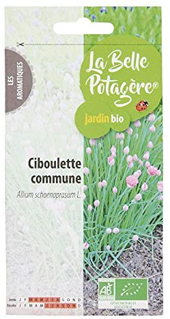 Erba cipollina comune - 0,5 g
