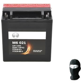 KOMPATIBEL MIT BMW R RT 1250 pro Jahr 2019 al 2022 YTX16-BS M60210 FA124 Batterie BEREITS GELADEN BEREIT BATTERIEN 14AH Ampere 12 Volt 150X87X161MM